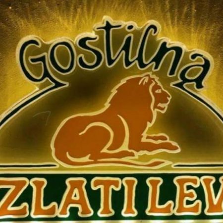 Gostilna In Apartmaji Zlati Lev - ماريبور المظهر الخارجي الصورة